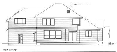 Rear Elevation for House Plan #233128